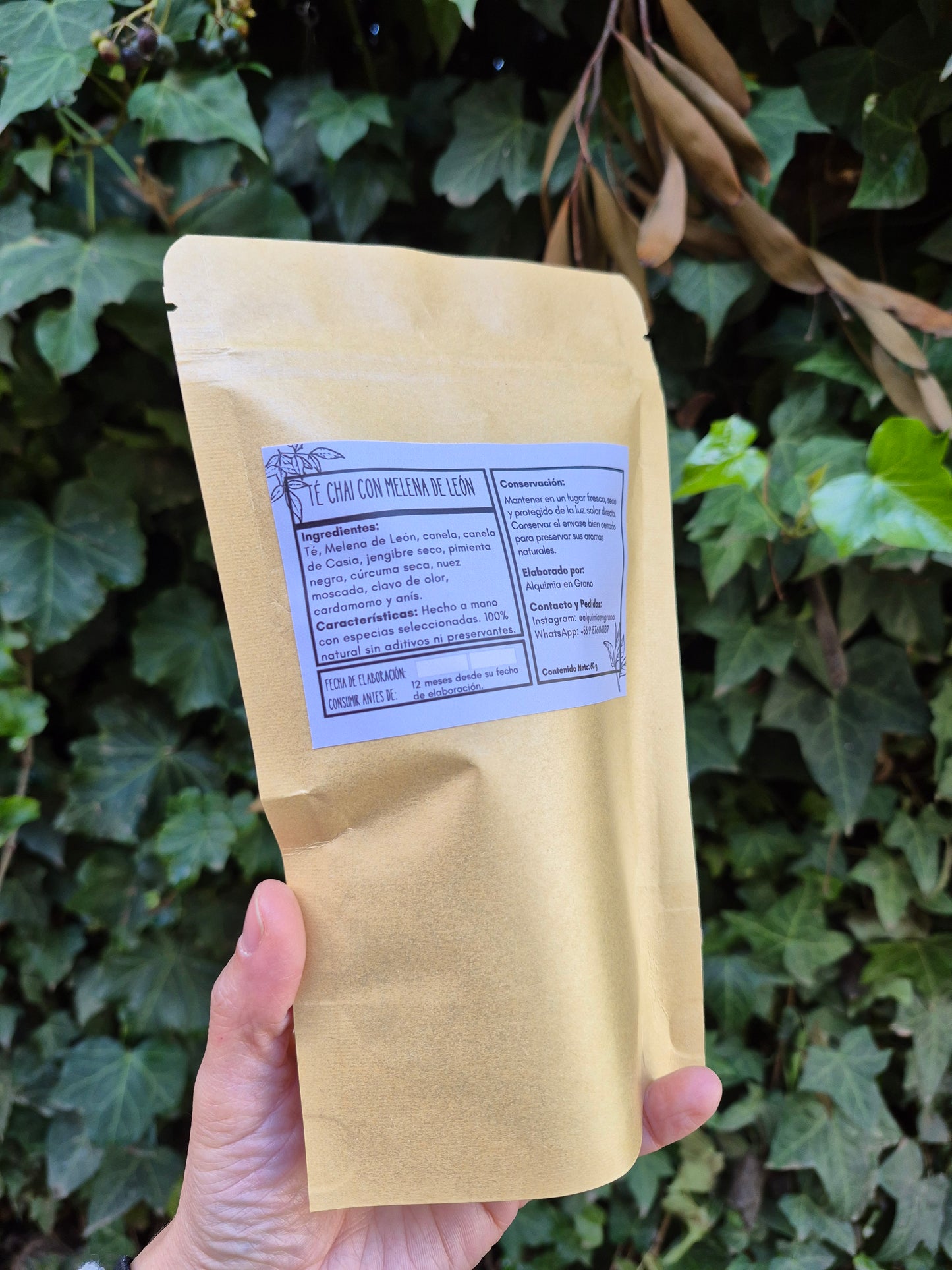 Té Chai con Melena de León