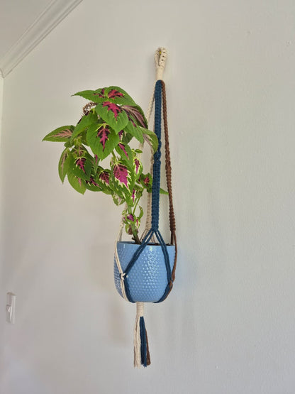 Cuelga para plantas multicolor