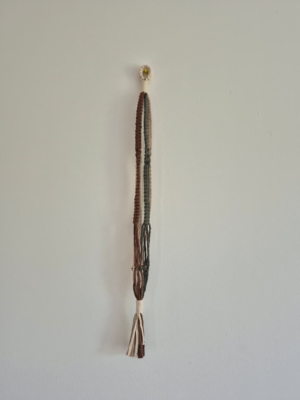 Cuelga para plantas multicolor