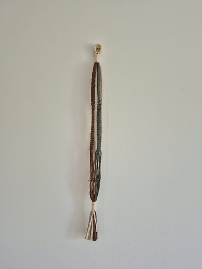 Cuelga para plantas multicolor