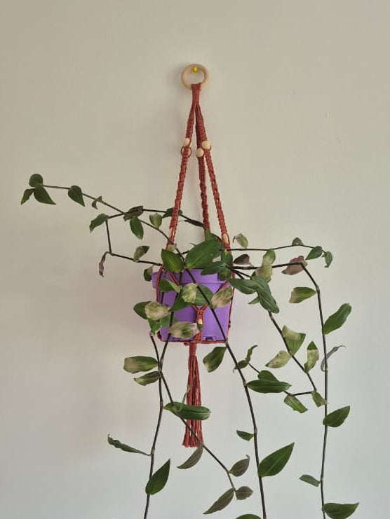 Cuelga para plantas terracota