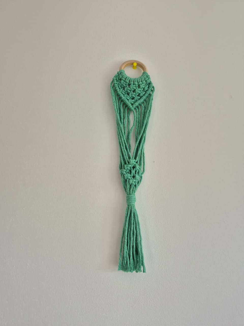 Cuelga para plantas pequeña colores