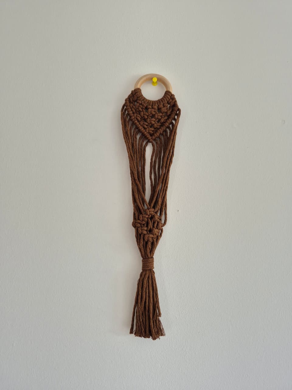 Cuelga para plantas pequeña colores