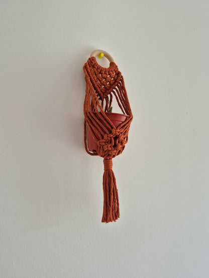 Cuelga para plantas pequeña colores