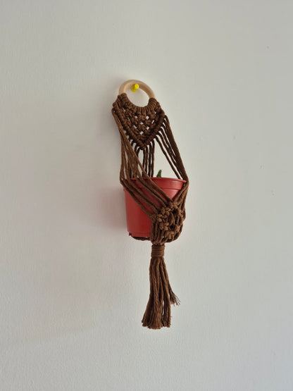 Cuelga para plantas pequeña colores