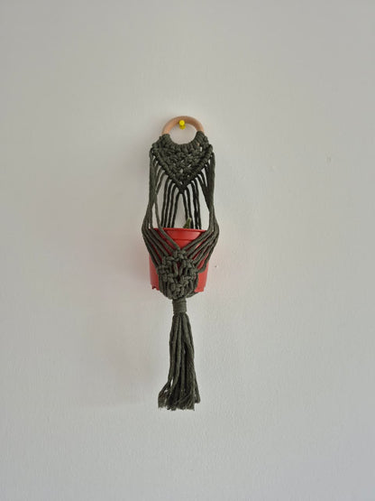 Cuelga para plantas pequeña colores