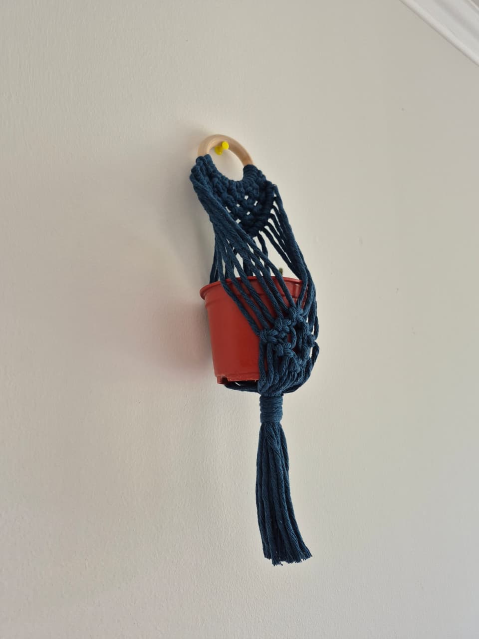 Cuelga para plantas pequeña colores