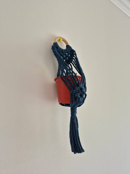 Cuelga para plantas pequeña colores