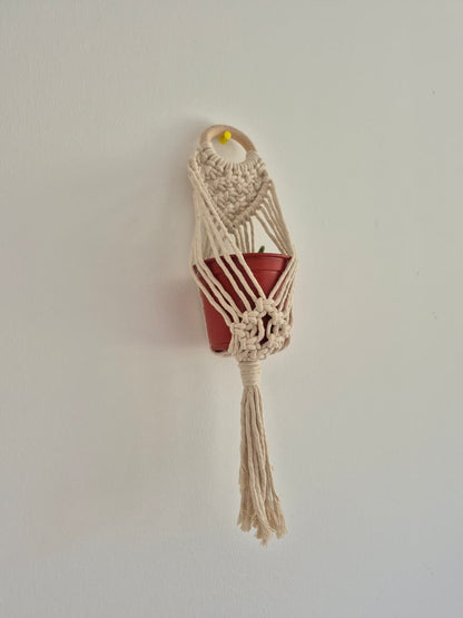 Cuelga para plantas pequeña colores