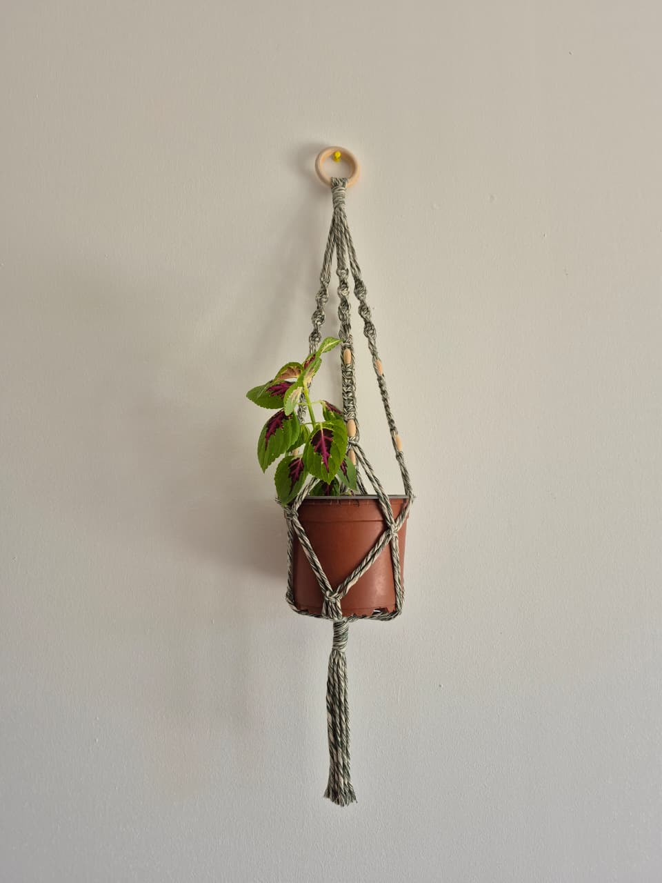 Cuelga para plantas colgante tonos verdes macramé