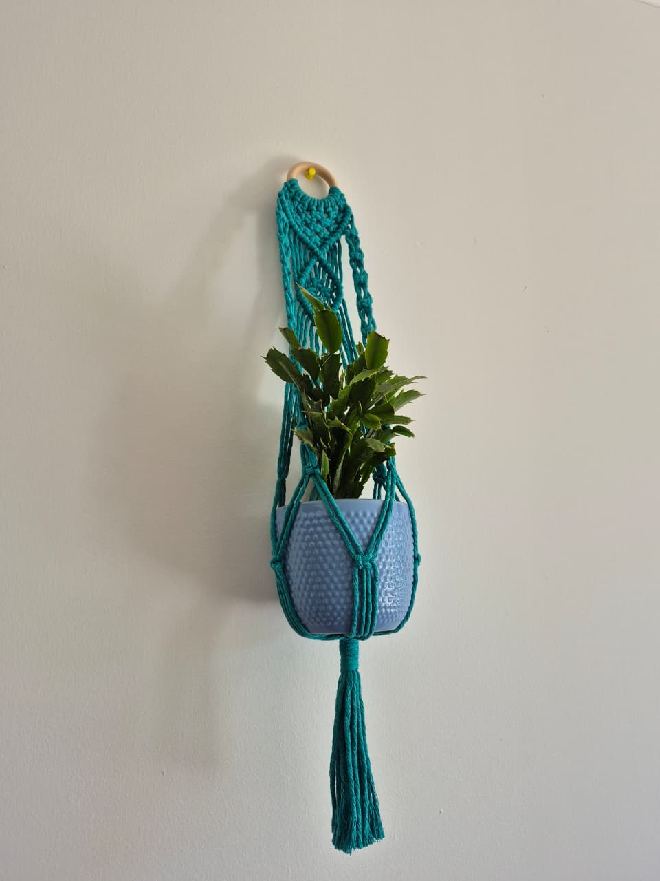 Cuelga para plantas con argolla