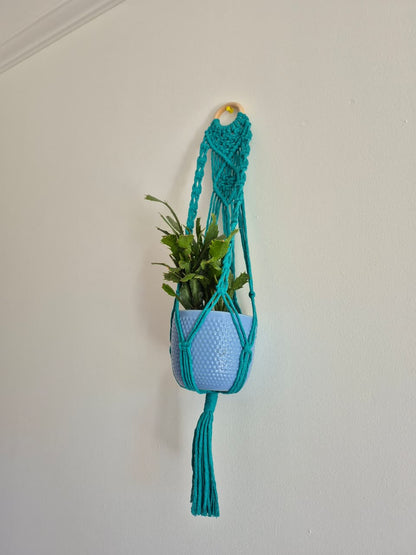 Cuelga para plantas con argolla