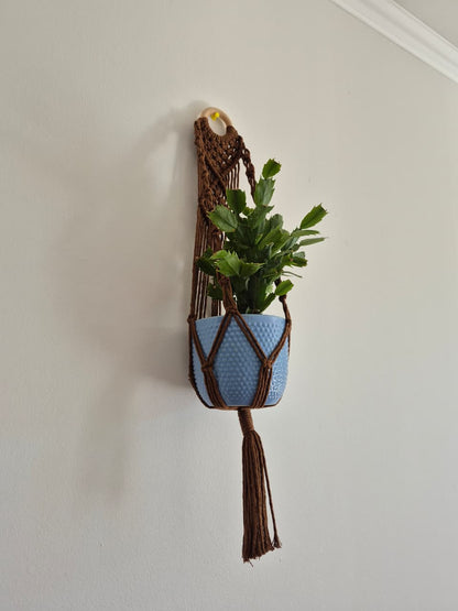 Cuelga para plantas con argolla