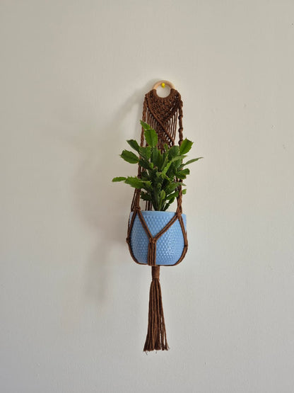 Cuelga para plantas con argolla