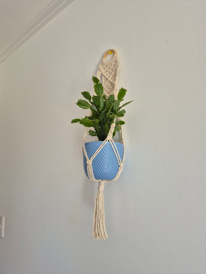 Cuelga para plantas con argolla