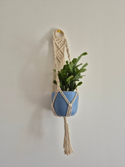 Cuelga para plantas con argolla