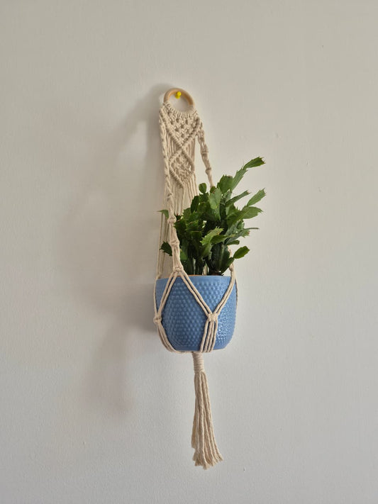 Cuelga para plantas con argolla