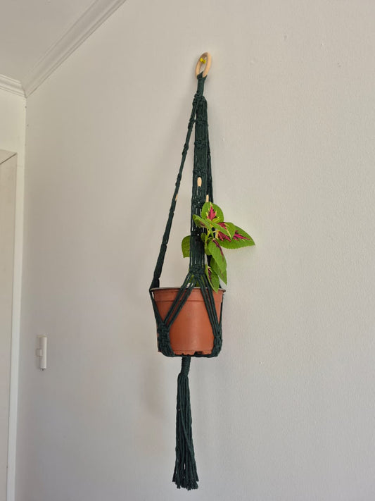 Cuelga para plantas verde oscuro colgante macramé