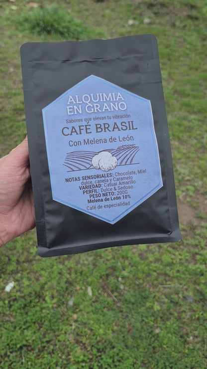 Café de especialidad Brasil con melena de León