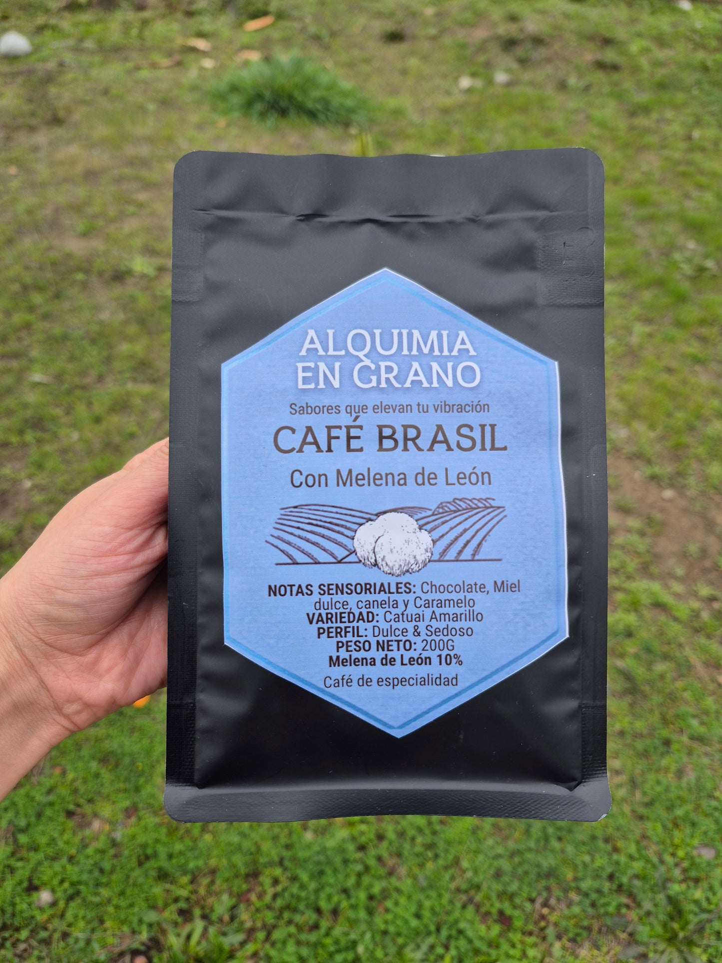 Café de especialidad Brasil con melena de León