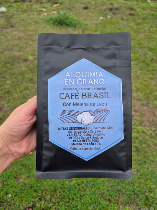 Café de especialidad Brasil con melena de León