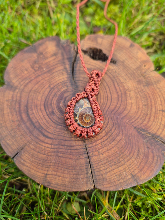 Collar de macramé con fósil Amonite